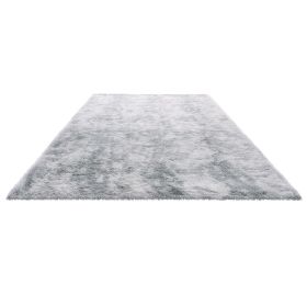 Indoor Plush Area Rugs, 6 x 9 ft Soft Plush Carpet, Furry Shag Area Rugs for Living Room, Bedroom, Modern Home Decor Aesthetic Long-Pile Rug